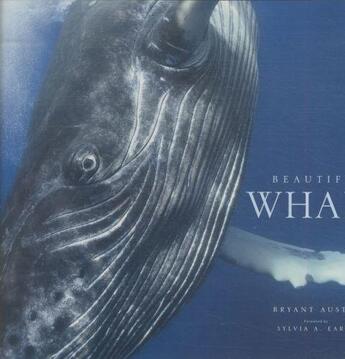 Couverture du livre « Beautiful whale » de Bryant Austin aux éditions Abrams