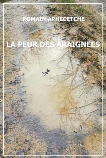 Couverture du livre « La Peur des Araignées » de Romain Aphecetche aux éditions Librinova