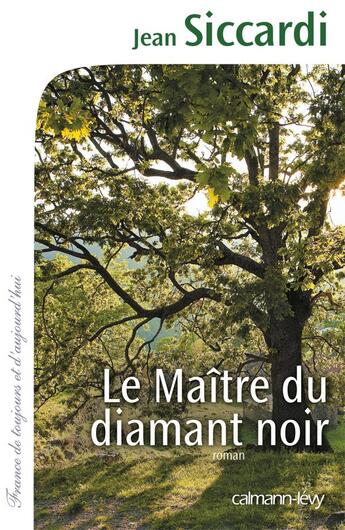 Couverture du livre « Le maître du diamant noir » de Jean Siccardi aux éditions Calmann-levy