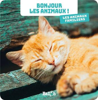 Couverture du livre « Bonjour les animaux : les animaux familiers » de  aux éditions Le Ballon