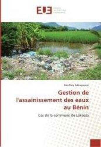 Couverture du livre « Gestion de l'assainissement des eaux au Bénin » de Géoffroy Adangnonsi aux éditions Editions Universitaires Europeennes