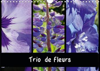 Couverture du livre « Trio de fleurs calendrier mural 2020 din a4 horizontal - la variete des fleurs de coule » de Martina Busch aux éditions Calvendo