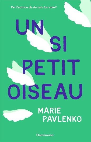 Couverture du livre « Un si petit oiseau » de Marie Pavlenko aux éditions Flammarion Jeunesse