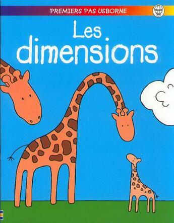 Couverture du livre « Dimensions » de Jenny Tyler aux éditions Usborne