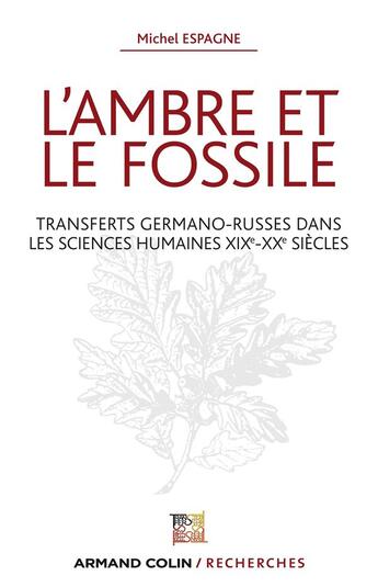 Couverture du livre « L'ambre et le fossile ; transferts germano-russes dans les sciences humaines XIXe-XXe siècles » de Michel Espagne aux éditions Armand Colin