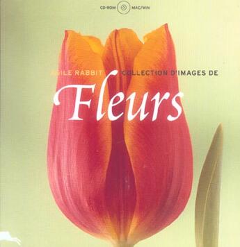 Couverture du livre « Fleurs (les) » de  aux éditions Pepin Press