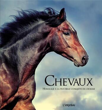 Couverture du livre « Chevaux ; hommage à la plus belle conquête de l'homme » de  aux éditions L'imprevu