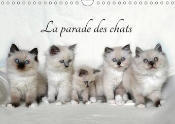 Couverture du livre « La parade des chats calendrier mural 2018 din a4 horizontal - mois apres mois un nouveau cer » de Chrystal J aux éditions Calvendo