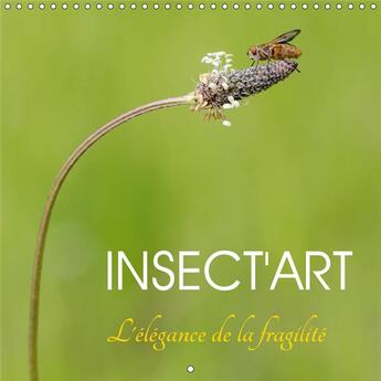 Couverture du livre « Avec insect art decouvrez chaq » de Makhloufi Djama aux éditions Calvendo