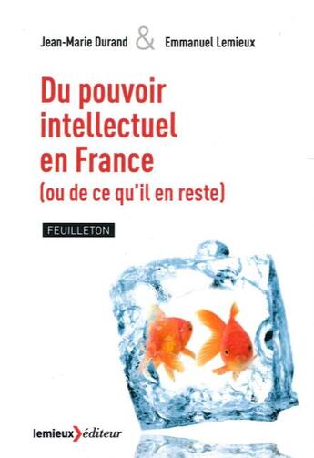 Couverture du livre « Du pouvoir intellectuel en france (ou de ce qu'il en reste) » de Jean-Marie Durand et Emmanuel Lemieux aux éditions Lemieux