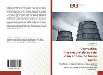 Couverture du livre « Convection thermosolutale au sein d'un anneau de forme carrée » de Rafik Rougabs aux éditions Editions Universitaires Europeennes