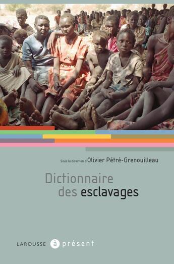 Couverture du livre « Dictionnaire des esclavages » de  aux éditions Larousse