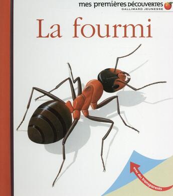 Couverture du livre « La fourmi » de Rene Mettler aux éditions Gallimard-jeunesse