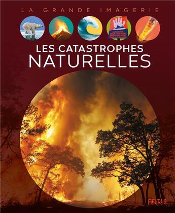 Couverture du livre « Les catastrophes naturelles » de Cathy Franco aux éditions Fleurus