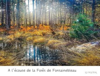 Couverture du livre « À l'écoute de la forêt de Fontainebleau » de Louise Georgin aux éditions Les Editions Du Figuier