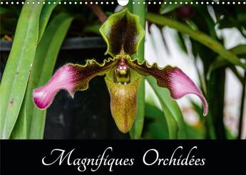 Couverture du livre « Magnifiques orchidees calendrier mural 2020 din a3 horizontal - belles photographies d orchide » de Woehlke Juergen aux éditions Calvendo