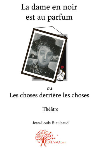 Couverture du livre « La dame en noir est au parfum ou les choses derrière les choses » de Jean-Louis Biaujeaud aux éditions Edilivre