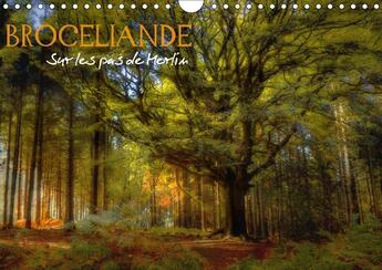 Couverture du livre « Broceliande sur les pas de merlin calendrier mural 2018 din - broceliande sa magie ses legen » de Guillaume D aux éditions Calvendo