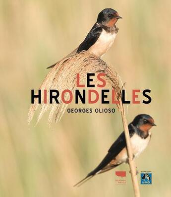 Couverture du livre « Les hirondelles » de Georges Olioso aux éditions Delachaux & Niestle