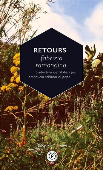 Couverture du livre « Retours » de Fabrizia Ramondino aux éditions Publie.net