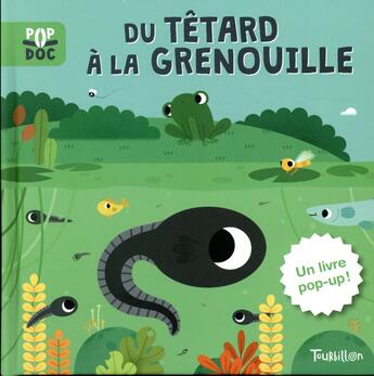 Couverture du livre « Du tetard a la grenouille - pop up » de Marta Sorte aux éditions Tourbillon