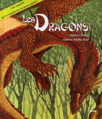 Couverture du livre « Les dragons » de Chottin/Del Rio Ruiz aux éditions Auzou