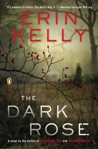 Couverture du livre « The Dark Rose » de Erin Kelly aux éditions Penguin Group Us