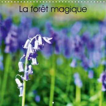 Couverture du livre « La foret magique calendrier mural 2020 300 300 mm square - hallerbos la foret feerique ca » de Patrick Bombaer aux éditions Calvendo