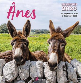 Couverture du livre « Calendrier anes (2020) » de  aux éditions Artemis