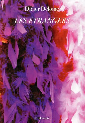 Couverture du livre « Les étrangers » de Didier Delome aux éditions Le Dilettante