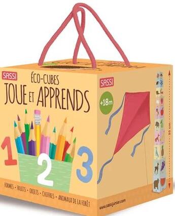 Couverture du livre « Eco-cubes joue et apprends » de  aux éditions Sassi