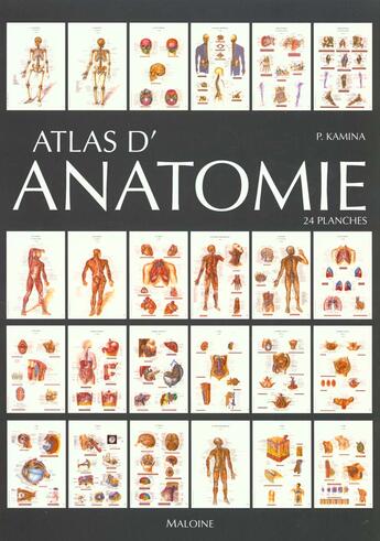 Couverture du livre « Atlas d'anatomie: coffret de 24 planches » de Kamina aux éditions Maloine