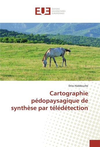 Couverture du livre « Cartographie pédopaysagique de synthèse par télédétection » de Driss Haddouche aux éditions Editions Universitaires Europeennes