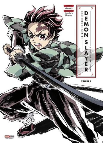 Couverture du livre « Demon slayer : anime artbook » de Koyoharu Gotoge et Collectif aux éditions Panini