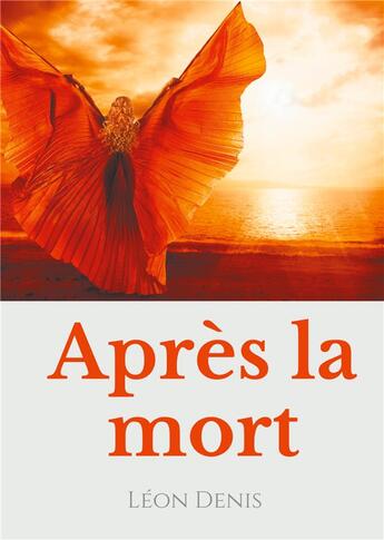 Couverture du livre « Théosophie et anthroposophie t.5; après la mort ; petit précis de spiritisme sur la reincarnation » de Léon Denis aux éditions Books On Demand