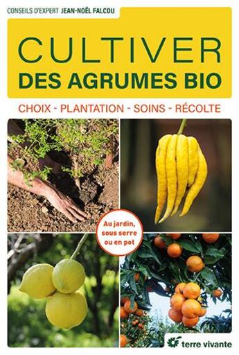 Couverture du livre « Cultiver des agrumes bio : choix - plantation - soins - récolte » de Jean-Noël Falcou aux éditions Terre Vivante