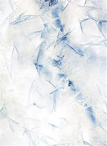 Couverture du livre « Meghann Riepenhoff : ice » de Meghann Riepenhoff aux éditions Radius Books