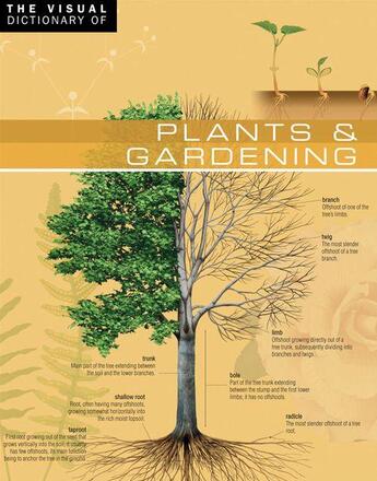 Couverture du livre « The Visual Dictionary of Plants & Gardening » de Jean-Claude Corbeil et Ariane Archambault aux éditions Quebec Amerique