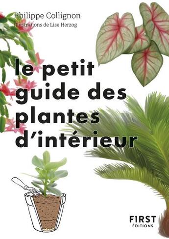 Couverture du livre « Le petit guide des plantes d'intérieur » de Lise Herzog et Philippe Collignon aux éditions First