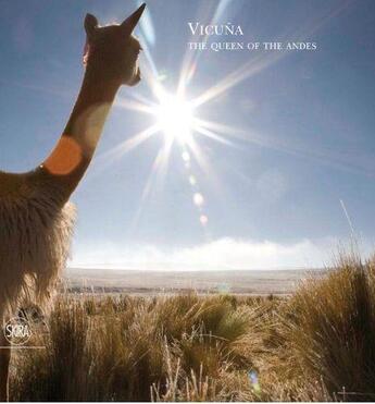 Couverture du livre « Vicuna » de Bruna Rotunno aux éditions Skira