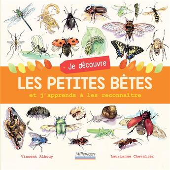 Couverture du livre « Je découvre les petites bêtes ; et j'apprends à les reconnaître » de Vincent Albouy et Laurianne Chevalier aux éditions Millepages