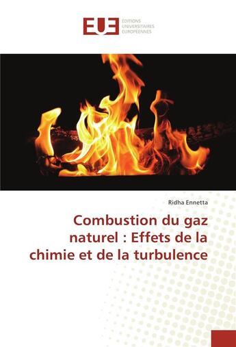 Couverture du livre « Combustion du gaz naturel : effets de la chimie et de la turbulence » de Ennetta Ridha aux éditions Editions Universitaires Europeennes