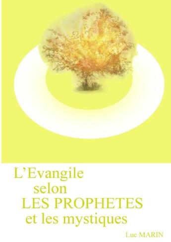 Couverture du livre « L'évangile selon les prophètes et les mystiques » de Luc Marin aux éditions Lulu