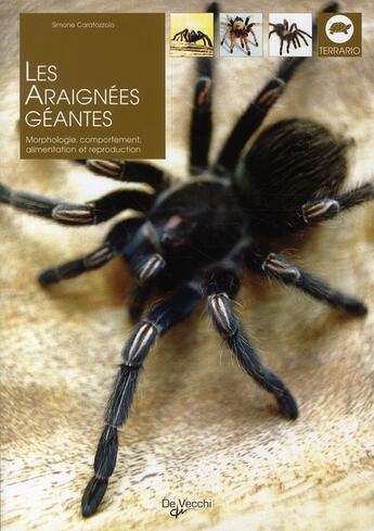 Couverture du livre « Les araignées géantes » de Simone Caratozzolo aux éditions De Vecchi