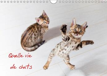 Couverture du livre « Quelle vie de chats calendrier mural 2018 din a4 horizontal - chats et chatons calendrier me » de Dardenne C aux éditions Calvendo