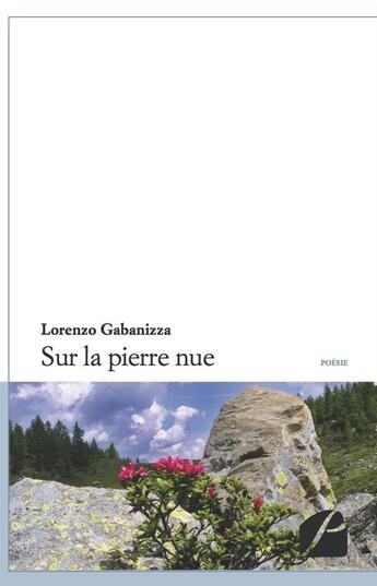 Couverture du livre « Sur la pierre nue » de Lorenzo Gabanizza aux éditions Editions Du Panthéon