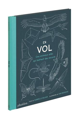 Couverture du livre « En vol ; ces animaux ailés qui battent des records » de Balkan Gabrielle et Sam Brewster aux éditions Phaidon Jeunesse