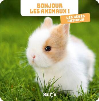 Couverture du livre « Bonjour les animaux : les bebes animaux » de  aux éditions Le Ballon