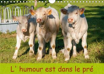 Couverture du livre « L humour est dans le pre calendrier mural 2020 din a4 horizontal - photo de bovins calendrier men » de Peverada Stepha aux éditions Calvendo