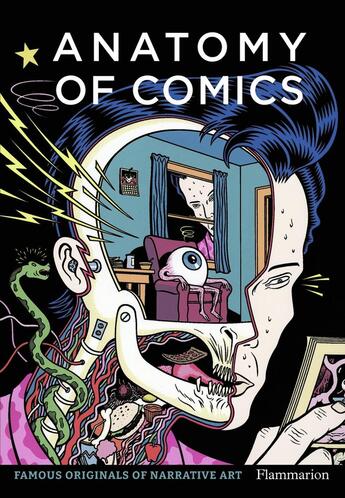 Couverture du livre « Anatomy of comics : famous originals of narrative art » de Damien Mcdonald aux éditions Flammarion